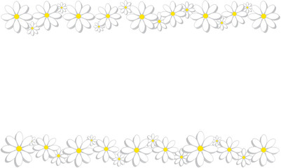 Vector illustration. Daisies (flowers) on a green background. Spring background. 