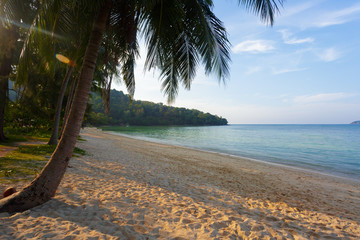 Sea. Tropical Paradise.