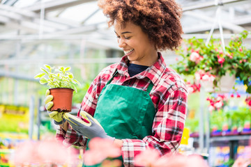 Junge Floristin Frau im Gew&auml;chshaus einer G&auml;rtnerei