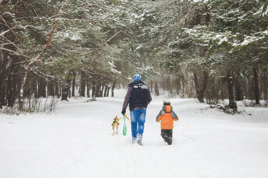 Family of father and little 5 years old son having fun in snowy winter wood. Happy young beagle cheerfully running before people. Horizontal color photography.