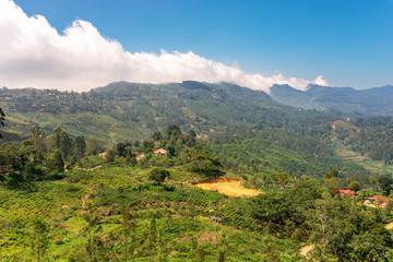 Fototapeta na wymiar View to the Horten Plains with clouds in the montane forest in the central highlands of Sri Lanka