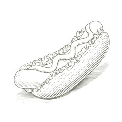 Hot dog. Fast food in engraving style. Vector illustration.
