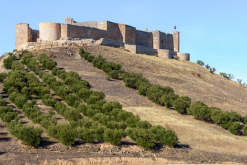 Fototapeta na wymiar Jadraque Castle, also known as Cid Castle, Castilla-La Mancha, Spain
