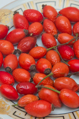 Rosehip in the plate . Top view of rose hips in bowl isolated on white . Rose hip
