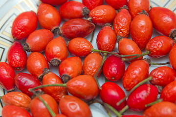 Rosehip in the plate . Top view of rose hips in bowl isolated on white . Rose hip