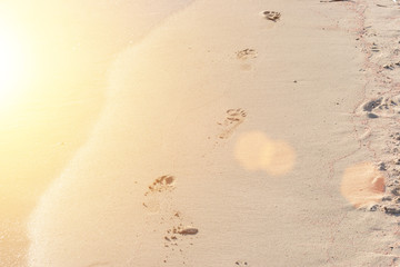 Human footprints on the sand beach. Sunny.