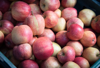 Pile of fresh healthy red apples.