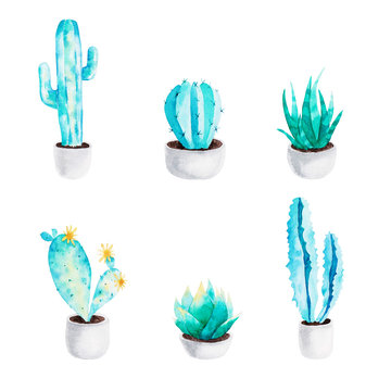 Cactus set of watercolor elements for design. Succulent plants in flower pot. Scandinavian style