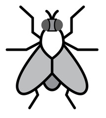 Flies insect