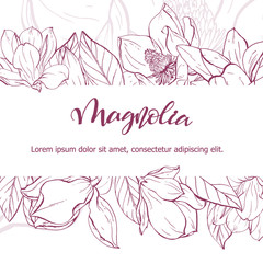 Sketch linear magnolia blossom.