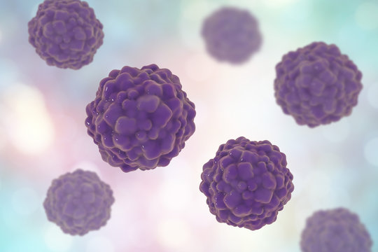 TTV hepatitis virus, transfusion transmitted or torque teno virus, 3D illustration