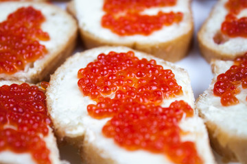Red caviar on the piece of bread