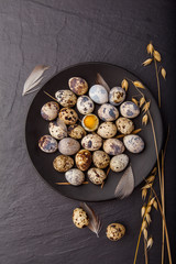 Fototapeta na wymiar Quail eggs on dark background. Rustic style