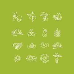 Superfoods line vector icons. Berries,nuts, vegetables fruits and seeds. Organic superfoods for health and diet.