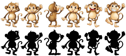 Monkeys and its silhouette in different posts
