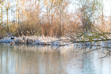 Gefrorener See in einer Winterlandschaft in Rheinhessen