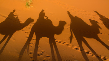 Wydmy Erg Chebbi, Sahara, Maroko - obrazy, fototapety, plakaty
