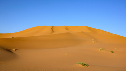 Fototapeta na wymiar Wydmy Erg Chebbi, Sahara, Maroko
