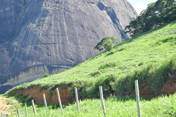 Cerca
