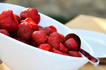 Erdbeeren