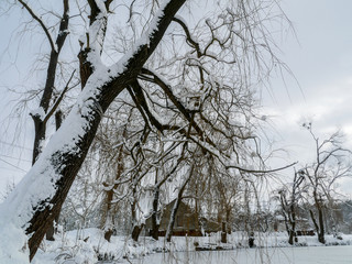 Evening on an frozen lake ice snowy