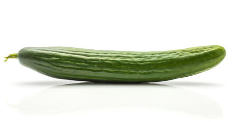 One European cucumber (burpless, seedless, hothouse, gourmet, greenhouse or English) isolated on white background.