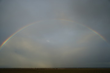 northern Califorina rainbow