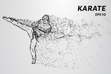 Karate of particles. Karate man in a kimono kick leg © newrossosh