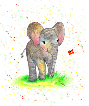 Elephant, a little elephant. Watercolor illustration.