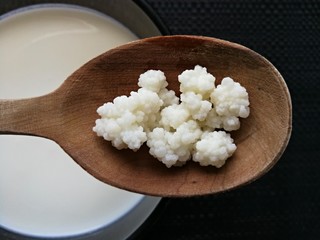 Tibetan milk mushroom .Milk kefir seeds.