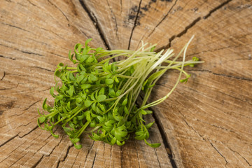 cress sprouts (Lepidium sativum) isolated on a wooden table