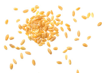 wheat grains isolated on white background. top view
