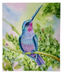 Watercolor flying hummingbird