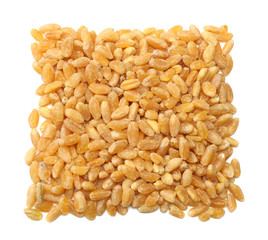wheat grains isolated on white background. top view