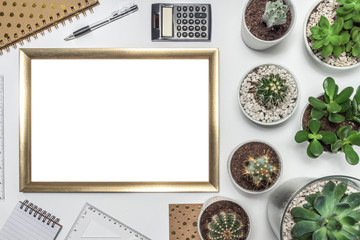 Top view on white desk with many cactuses and succulents in gray concrete and glass pots, gold empty frame with space for text, dotted notebook, calculator, notebook and ruler