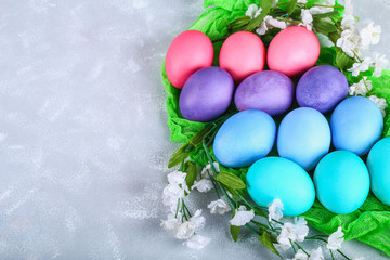 Fototapeta na wymiar Colored Easter eggs with white flowers on a gray concrete background.