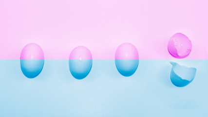 Four eggs on pink and blue background