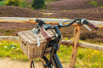Electric black cargo bicycle with basket in Dutch national park The Veluwe