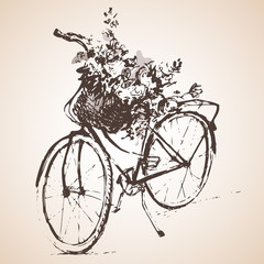 Obraz premium Bike with big bunch of flowers. Sketch.