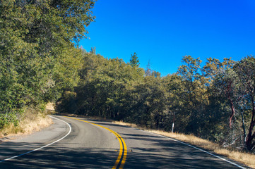 Naklejka premium Yosemite National Park road turn with with a trees on the side