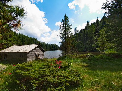 Bergsee in den Alpen - Mountain lake in the Alps