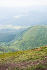 Obraz premium Blue horizon and Carpathian mountains in Ukraine 