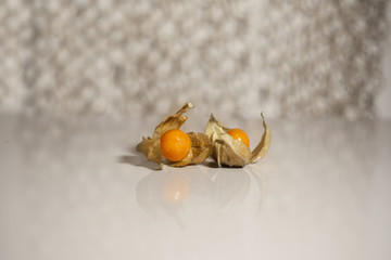 Ground cherry husk tomato chinese lantern in reflective white surfaceGround cherry husk tomato chinese lantern on reflective white surface