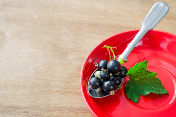 Fresh ripe organic black currant in plate.