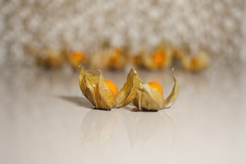 Ground cherry husk tomato chinese lantern on reflective white surface