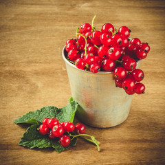 Fresh ripe organic red currant in aluminum cup.