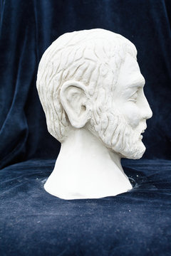 Gypsum sculpture of an unknown man