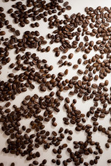 Lots of fresh coffee beans on a white surface