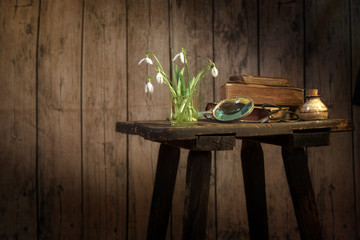 vase with snowdrops, book and other old objects on a vintage stool against a dark rustic wooden wall, spring greeting still life with copy space, selected focus