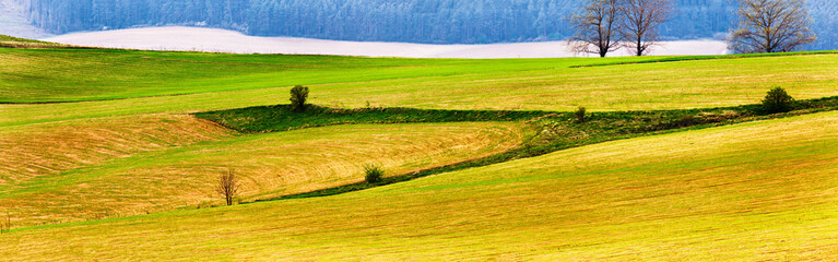 Obraz premium Spring mountain fields and meadow landscape.